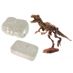 Archeologická súprava 2v1 – Dinosaurus Tyranosaurus