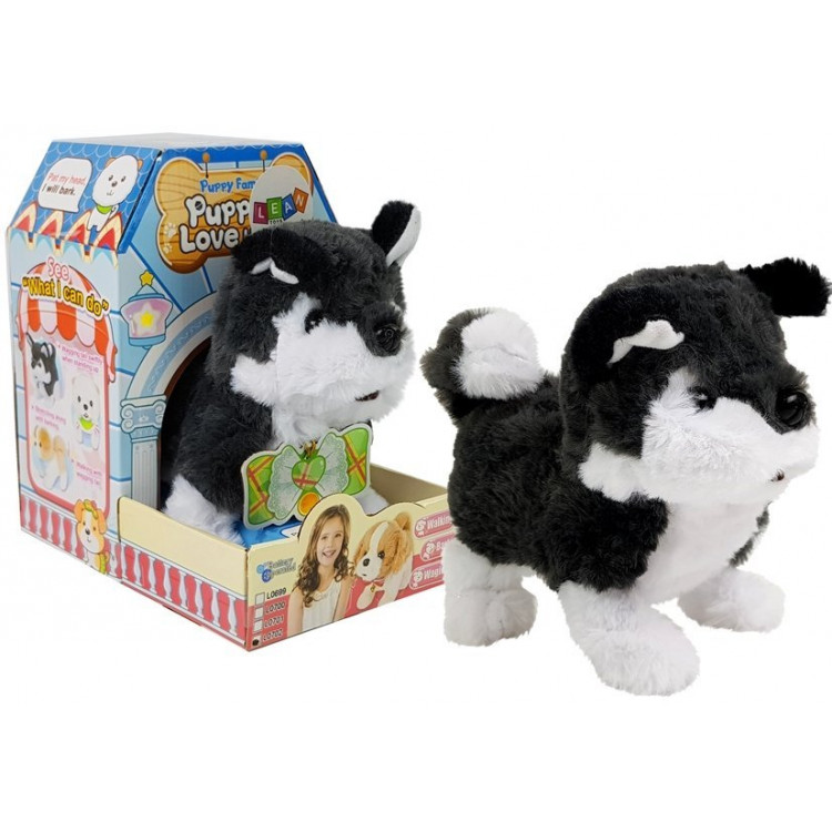Interaktívny psík - Husky