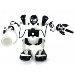 Robot Robone RC RTR bielo-čierny