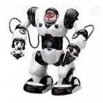 Robot Robone RC RTR bielo-čierny