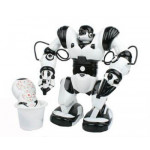 Robot Robone RC RTR bielo-čierny