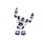 Robot Robone RC RTR bielo-čierny