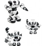 Robot Robone RC RTR bielo-čierny