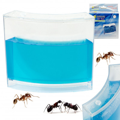 Mravčie gélové akvárium